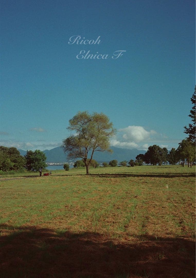 希少品！超美品！完動品★リコー elnica f★フィルム入門＊初期保証＊試写済