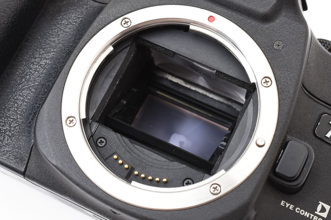 Canon キャノン EOS 7S 完全動作品 フイルムカメラ入門 #7987