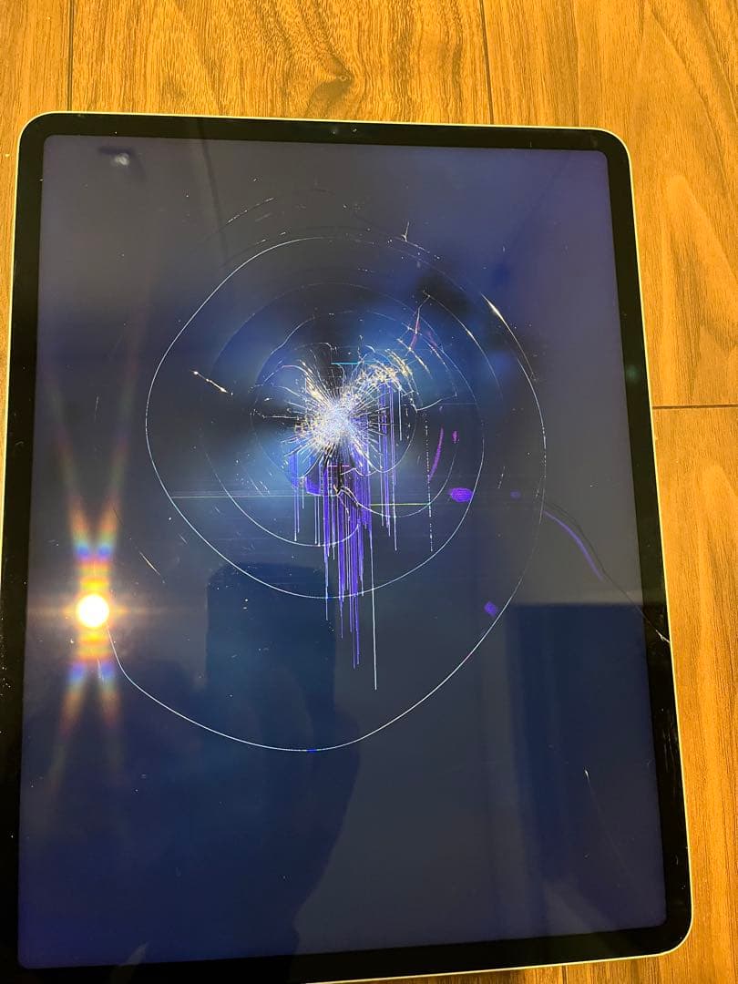 【ジャンク】iPad pro 第五世代　12.9インチ　125GB シルバー