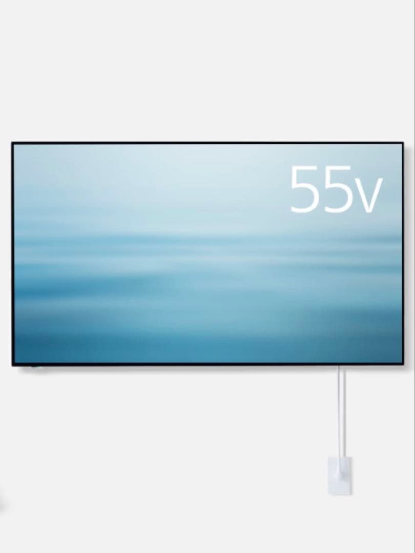 VIERA 55インチ 4K有機ELテレビ TH-55LW1L