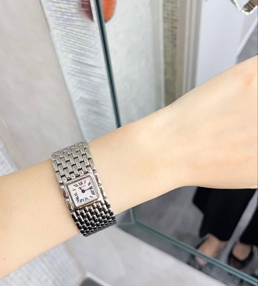 カルティエパンテールリュバン　Cartier コンプリート済（2024年11月）