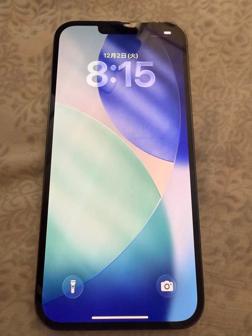 Apple iPhone 13 Pro Max 256GB グラファイト