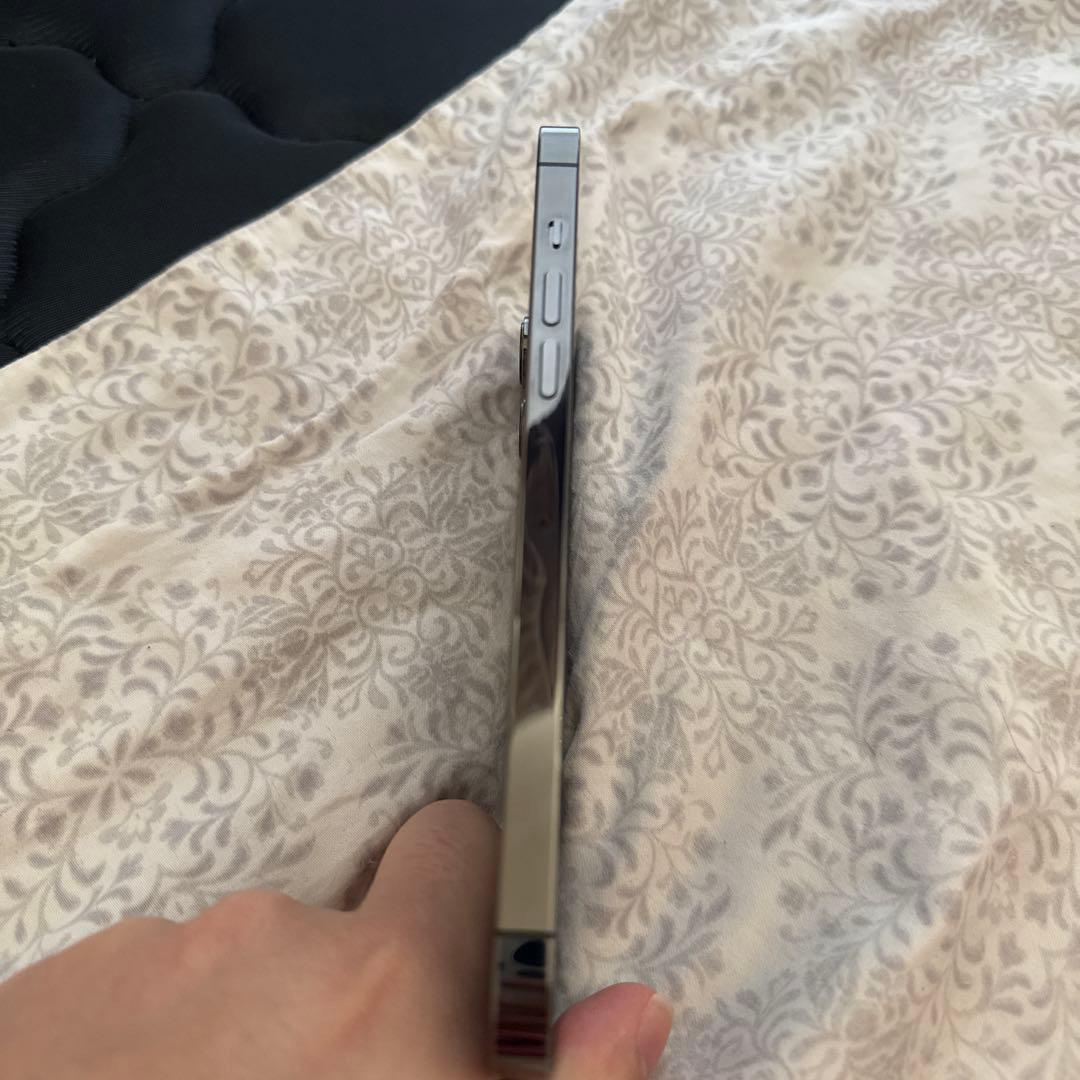 Apple iPhone 13 Pro Max 256GB グラファイト