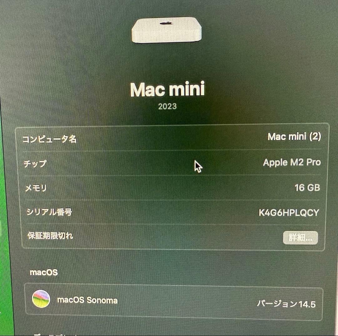 Apple Mac mini m2pro 16GBメモリ 1TB SSD