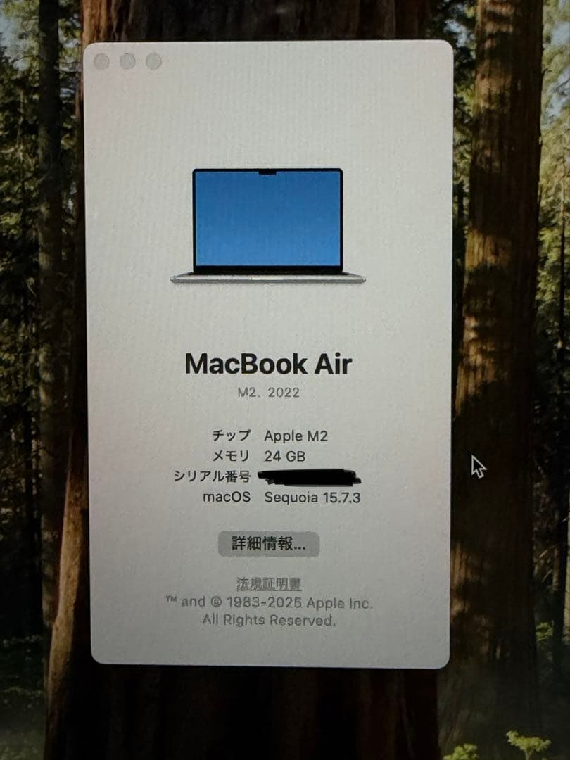 MacBook Air M2 13インチ 24GB 512GB US