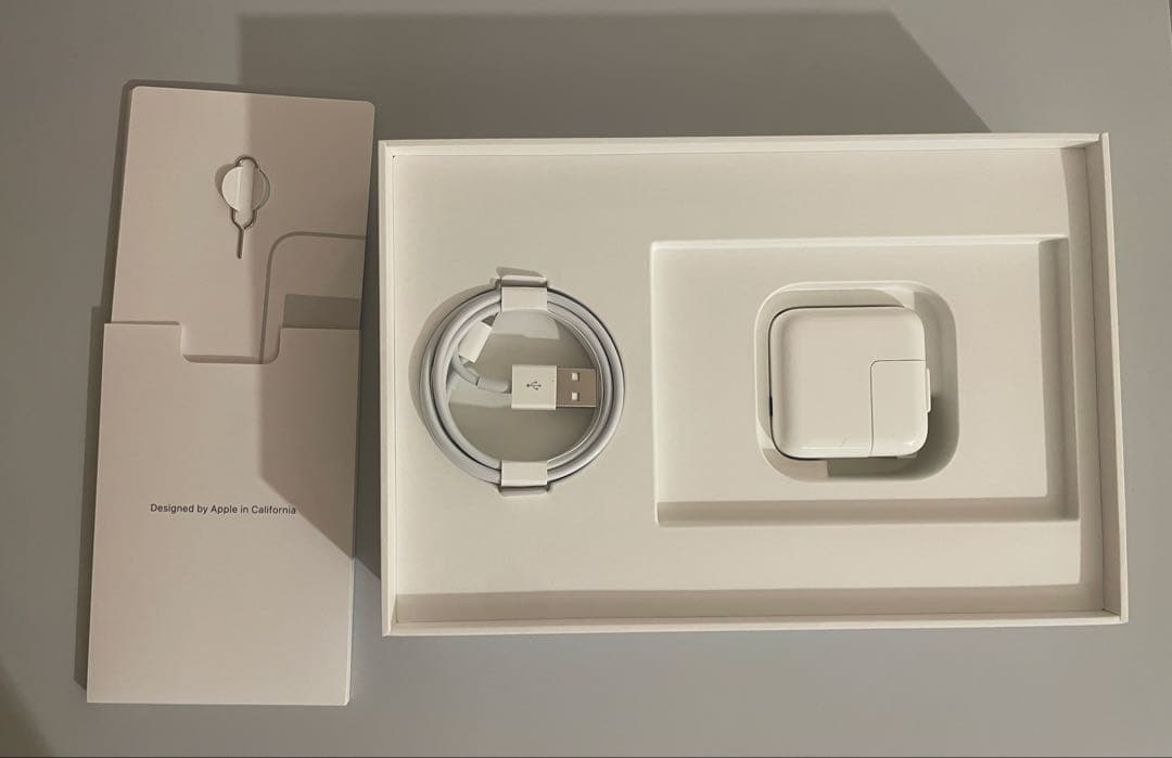 iPad本体 iPad mini 5 Cellular 64GB + Apple pencil