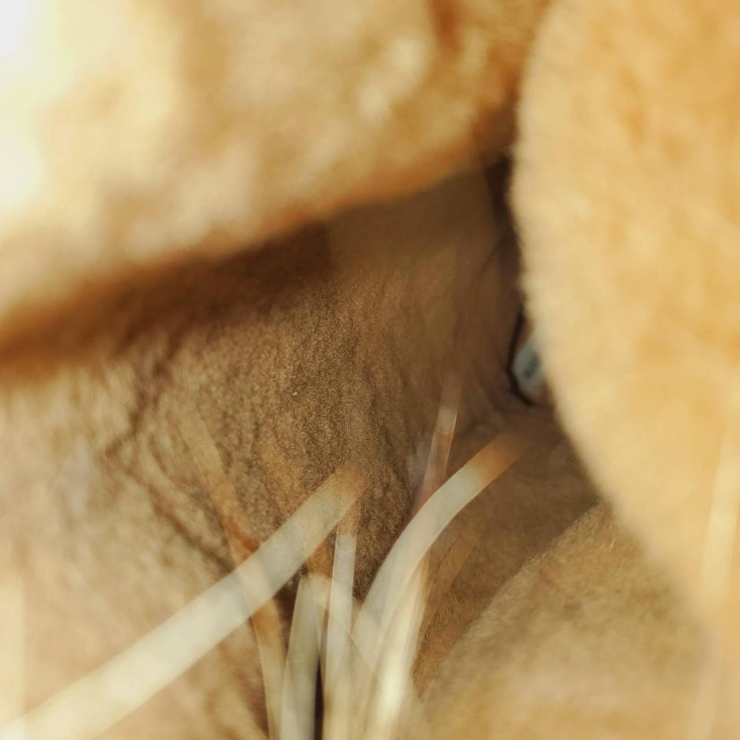 ★マノロブラニク　ロングブーツ　ステッチ　ブラウン　ラビットファー×スエード