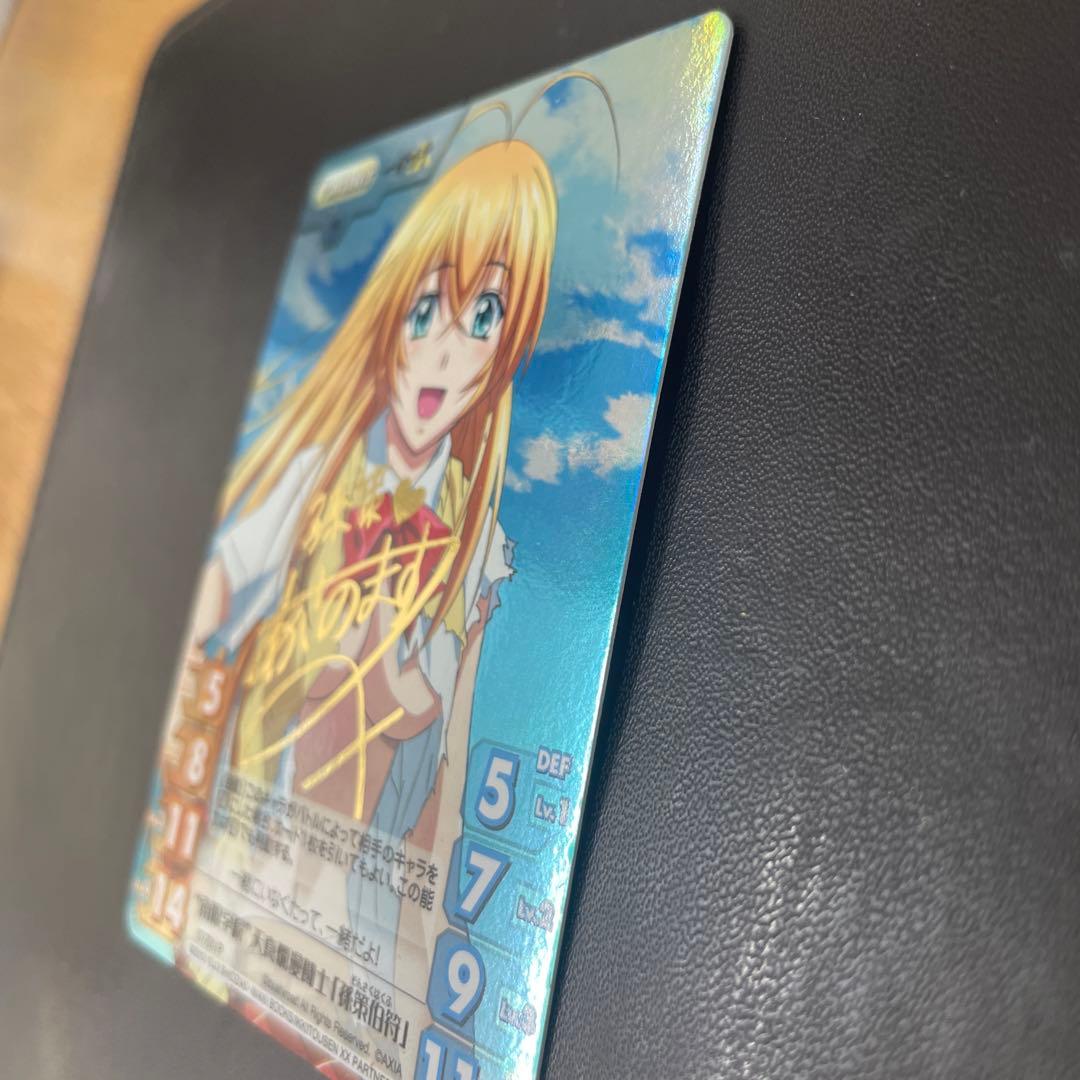 Chaos tcg 一騎当千 南陽学院天真爛漫闘士 孫策伯符 SP箔押しサイン