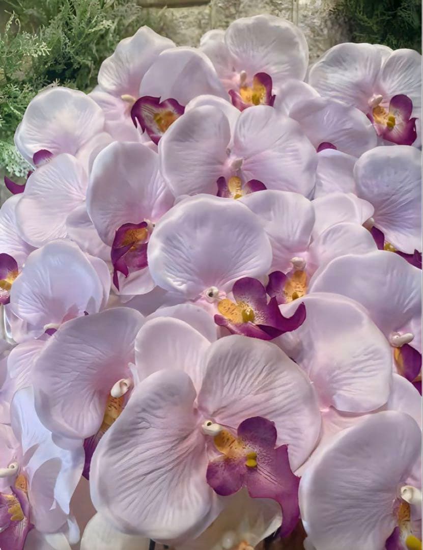 光触媒　人工観葉植物　ウォールグリーン　フェイクグリーン　胡蝶蘭8250tp