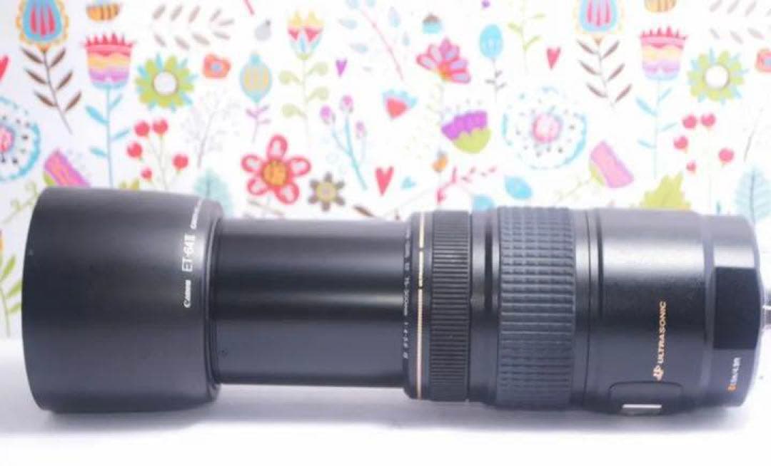 Canon EF 75-300mm IS USM☆望遠レンズ☆フィルター付