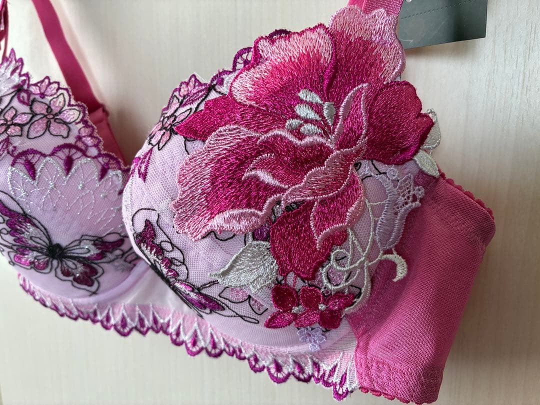 専用出品　サルート 42 みずがめ座 ブラショーツセット E70M 色PI