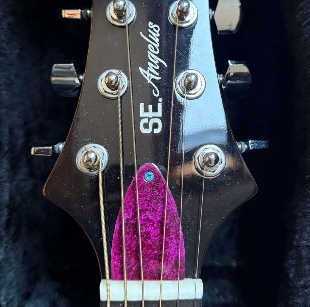 PRS SE A15AL ALEX LIFESON ThineLine エレアコ