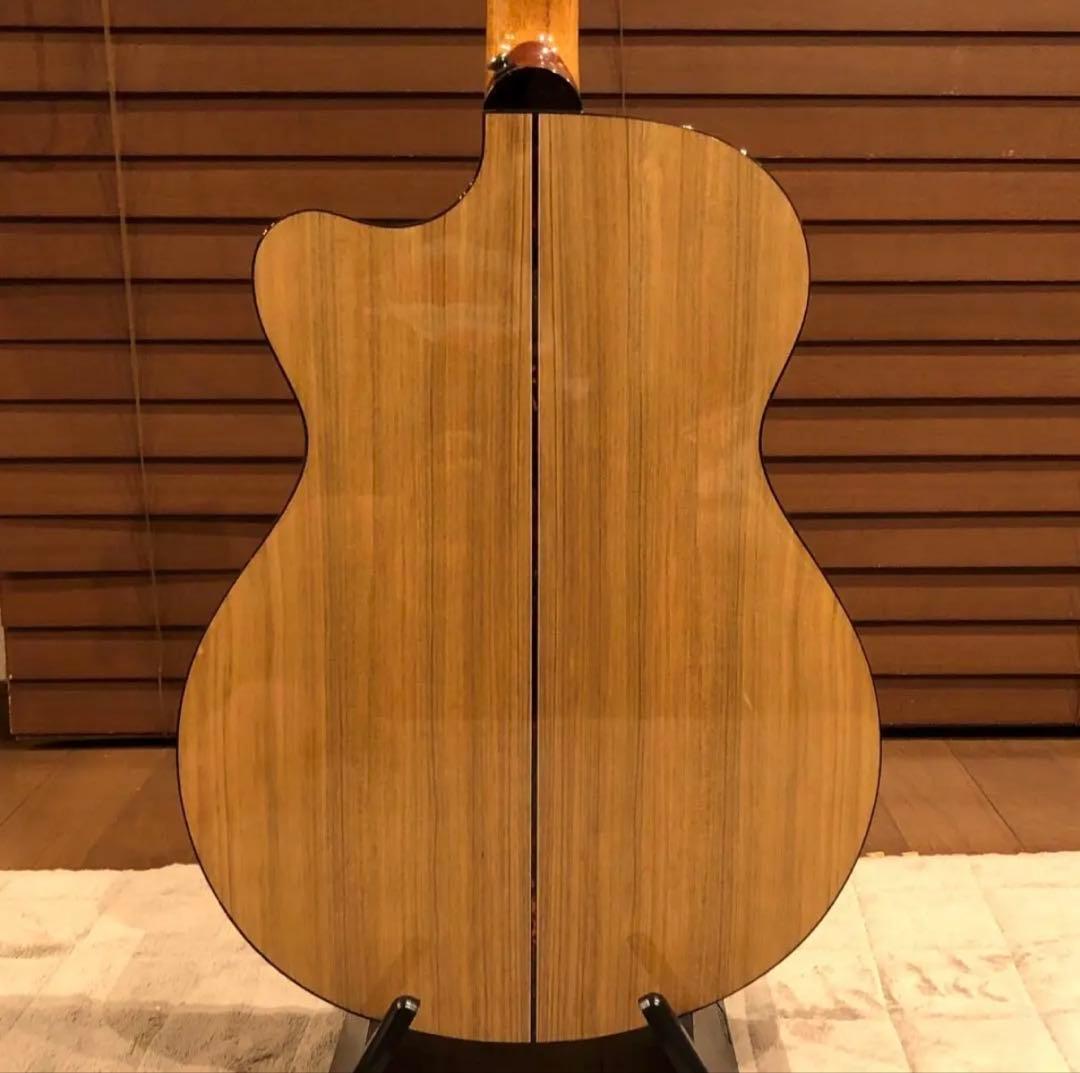 PRS SE A15AL ALEX LIFESON ThineLine エレアコ