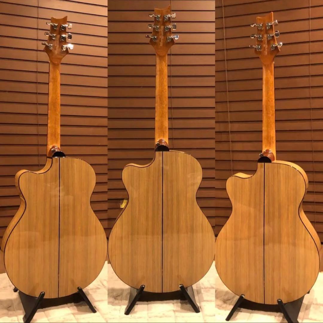 PRS SE A15AL ALEX LIFESON ThineLine エレアコ