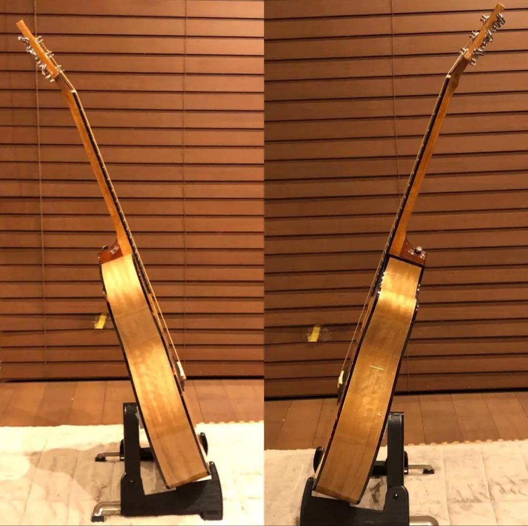 PRS SE A15AL ALEX LIFESON ThineLine エレアコ