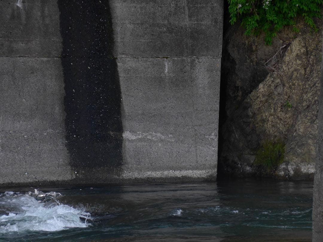 デジタルカメラ Leica C Typ 112 Light Gold