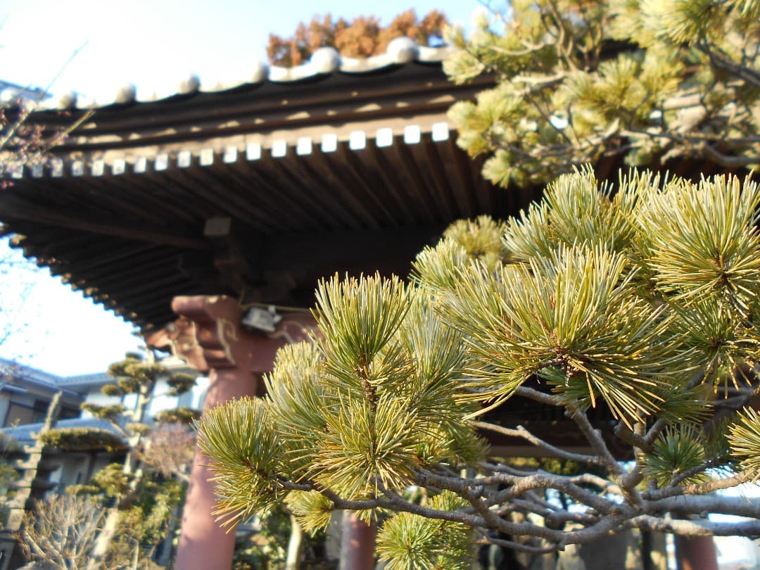 実写美⭕️【動作確認済】 Nikon COOLPIX L32