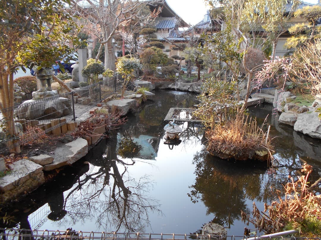 実写美⭕️【動作確認済】 Nikon COOLPIX L32