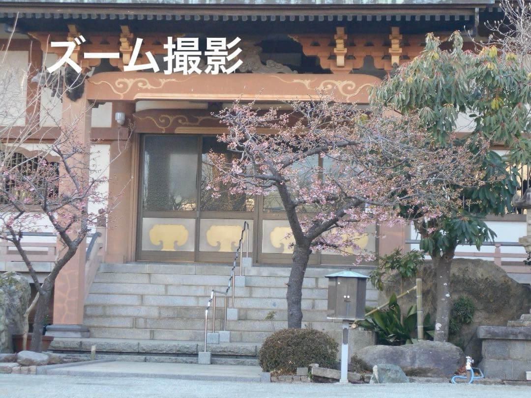 実写美⭕️【動作確認済】 Nikon COOLPIX L32