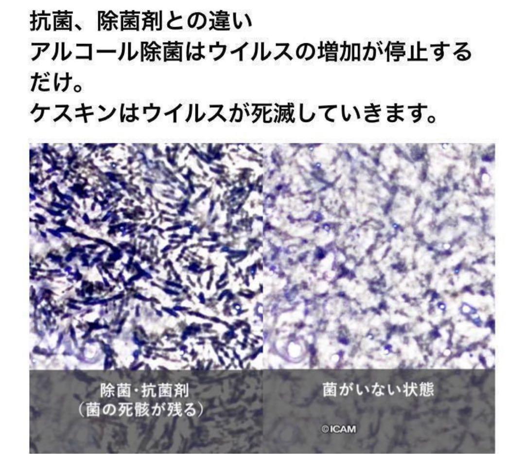 【未使用品】keskinケスキン　10L お得用　業務用　抗菌　抗ウイルス　除菌