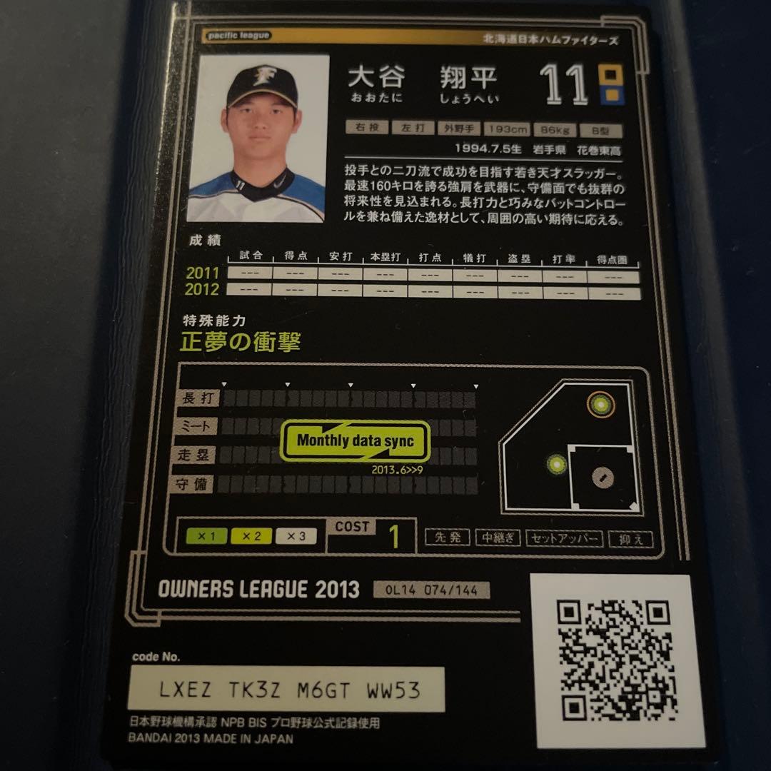 す*す様 大谷翔平 ルーキーイヤー2013年 ファイターズ インフィニティ