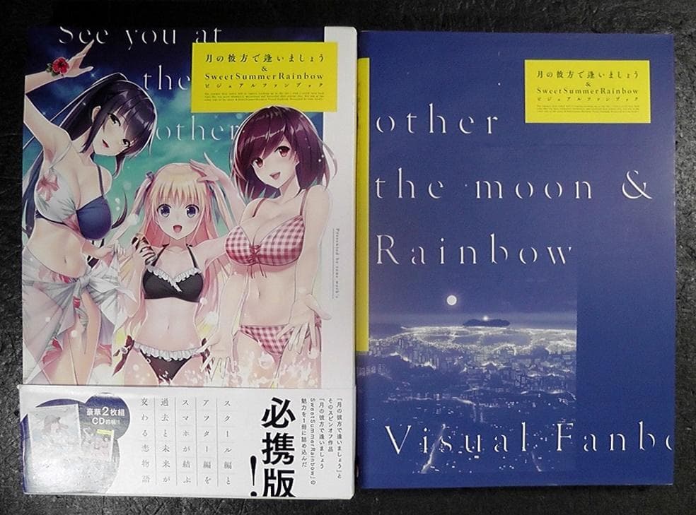 【CD2枚 未開封】 月の彼方で逢いましょう ビジュアルファンブック