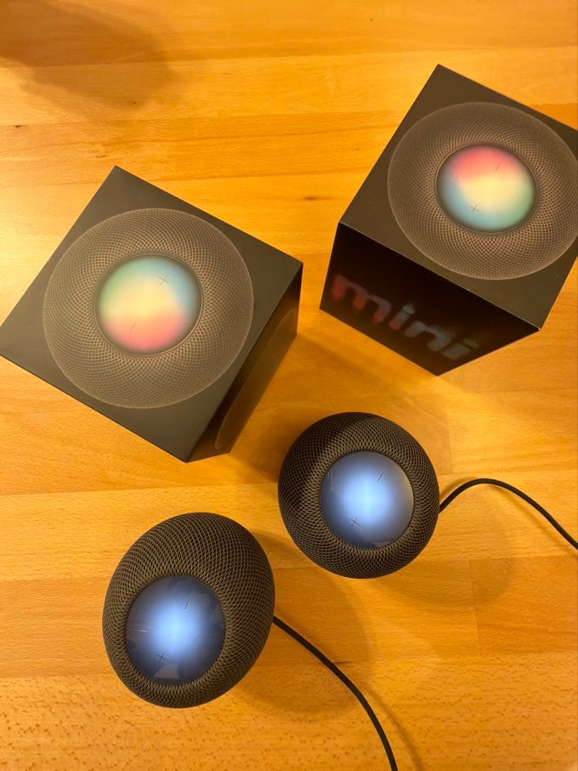 ⭐︎美品⭐︎Apple Pod mini スペースグレー 2台セット