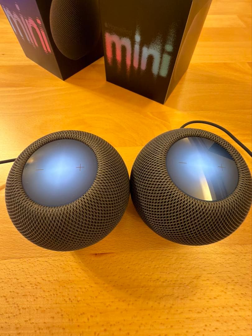 ⭐︎美品⭐︎Apple Pod mini スペースグレー 2台セット