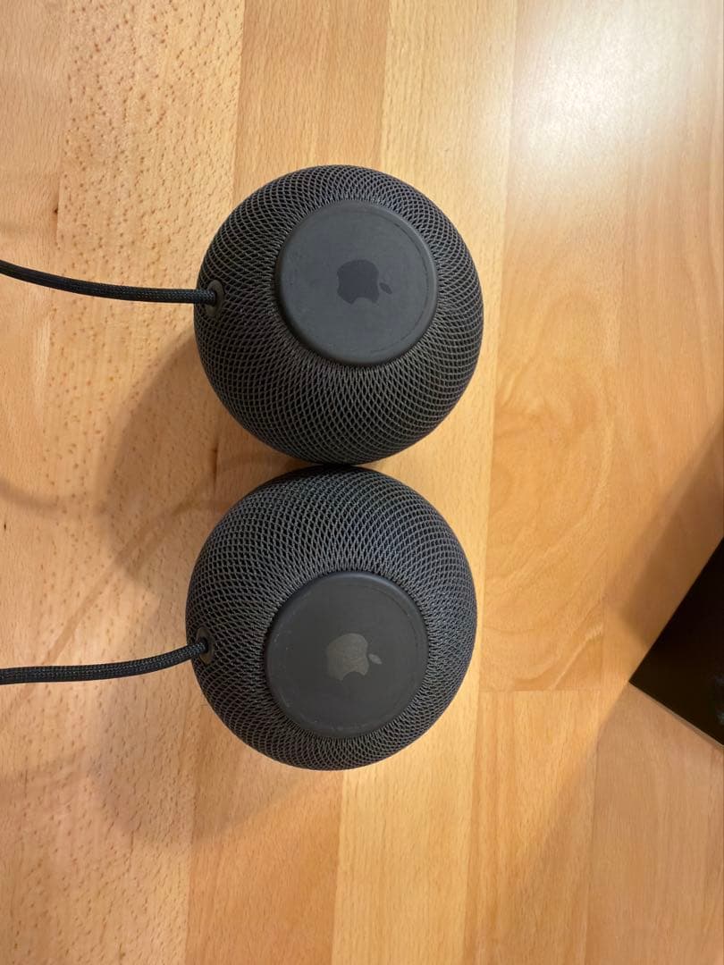 ⭐︎美品⭐︎Apple Pod mini スペースグレー 2台セット