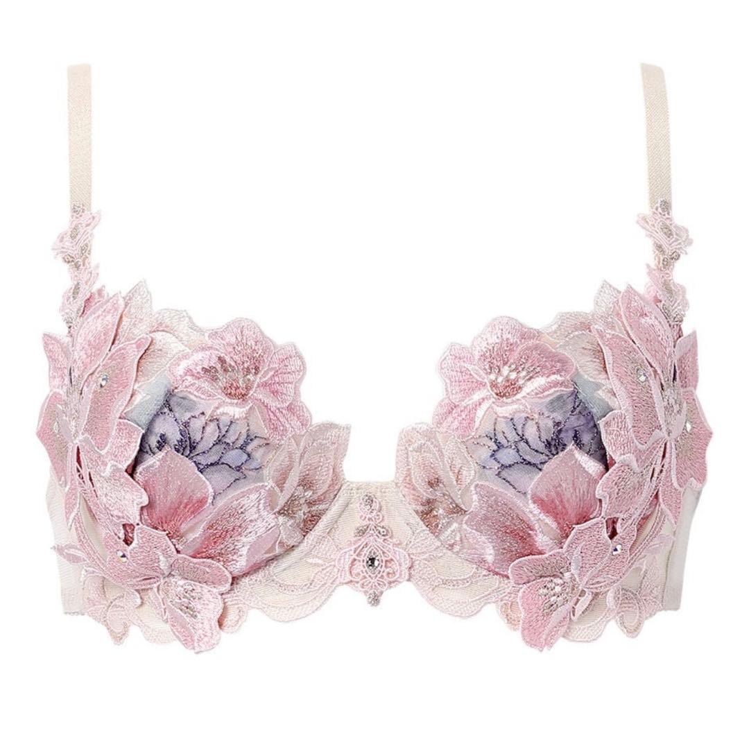 【新品】サルート29G 限定コレクション ブラジャー ショーツ E65 BE