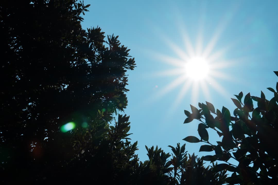 【運動会・スポーツに】SONY 望遠ズームレンズ SEL55210 279