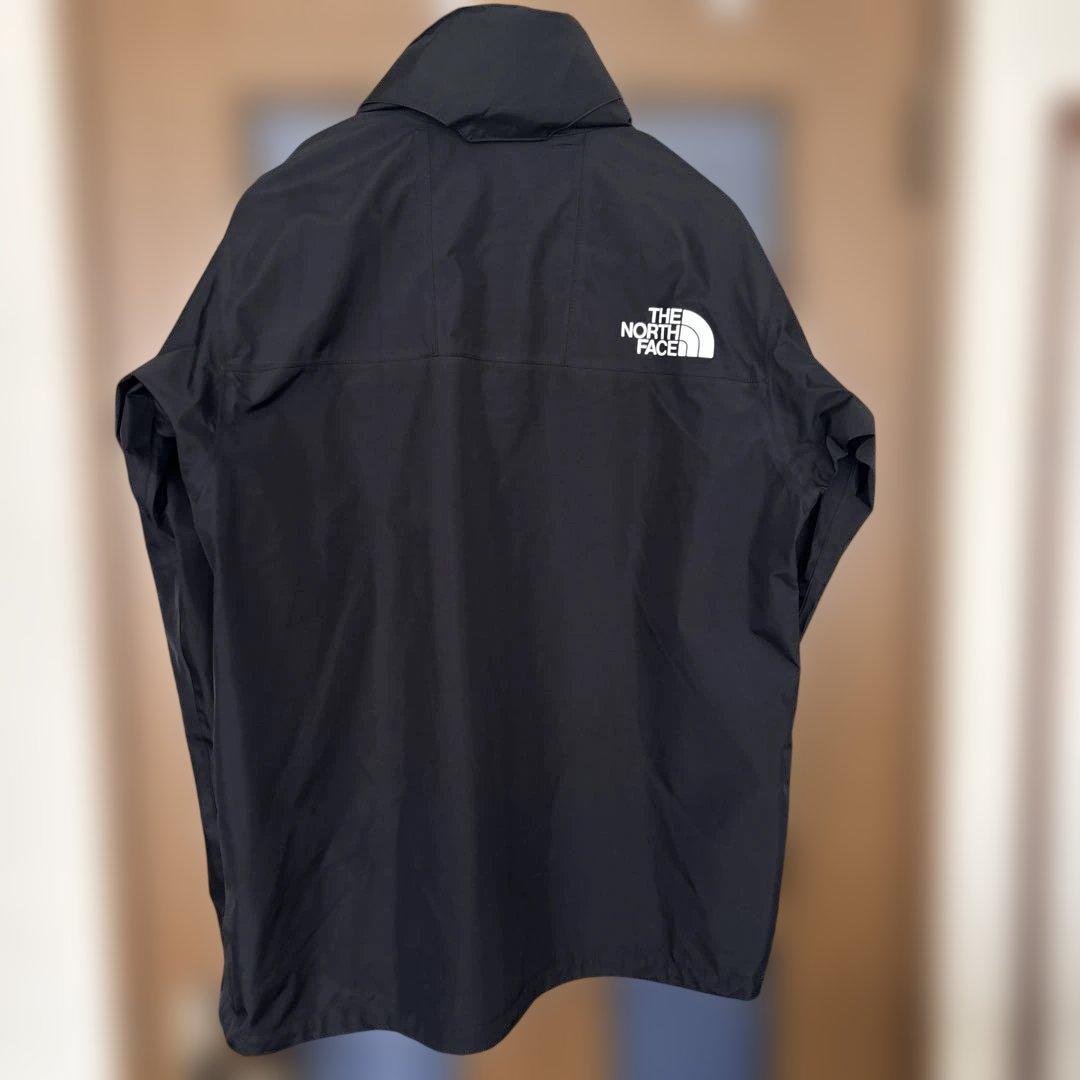 THE NORTH FACE マウンテン レインテックス ジャケット Lサイズ