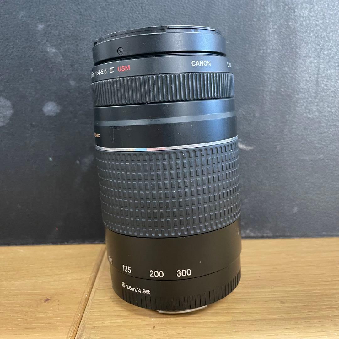 動作品 Canon EF 75-300mm F4-5.6 Ⅲ USM 望遠ズーム