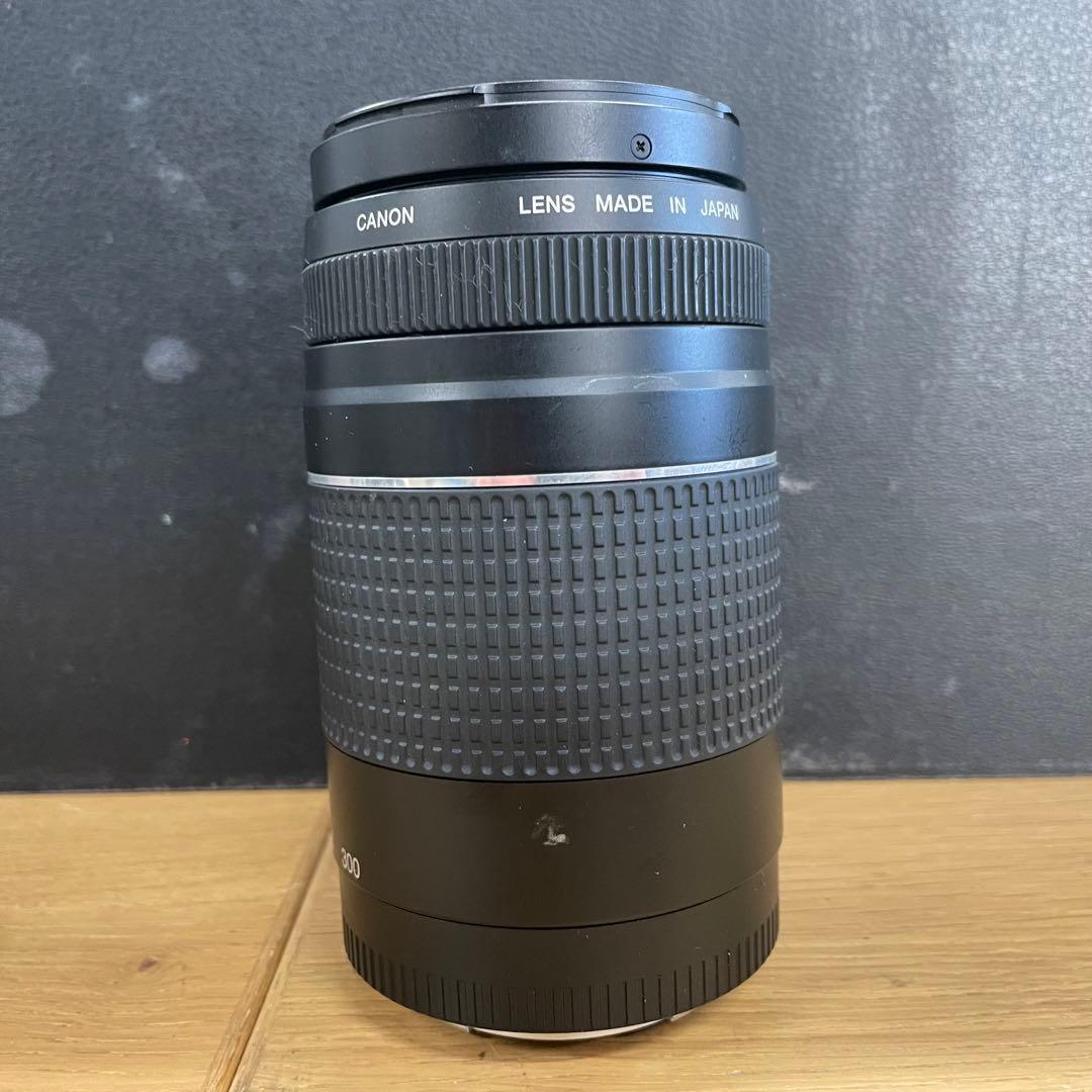 動作品 Canon EF 75-300mm F4-5.6 Ⅲ USM 望遠ズーム