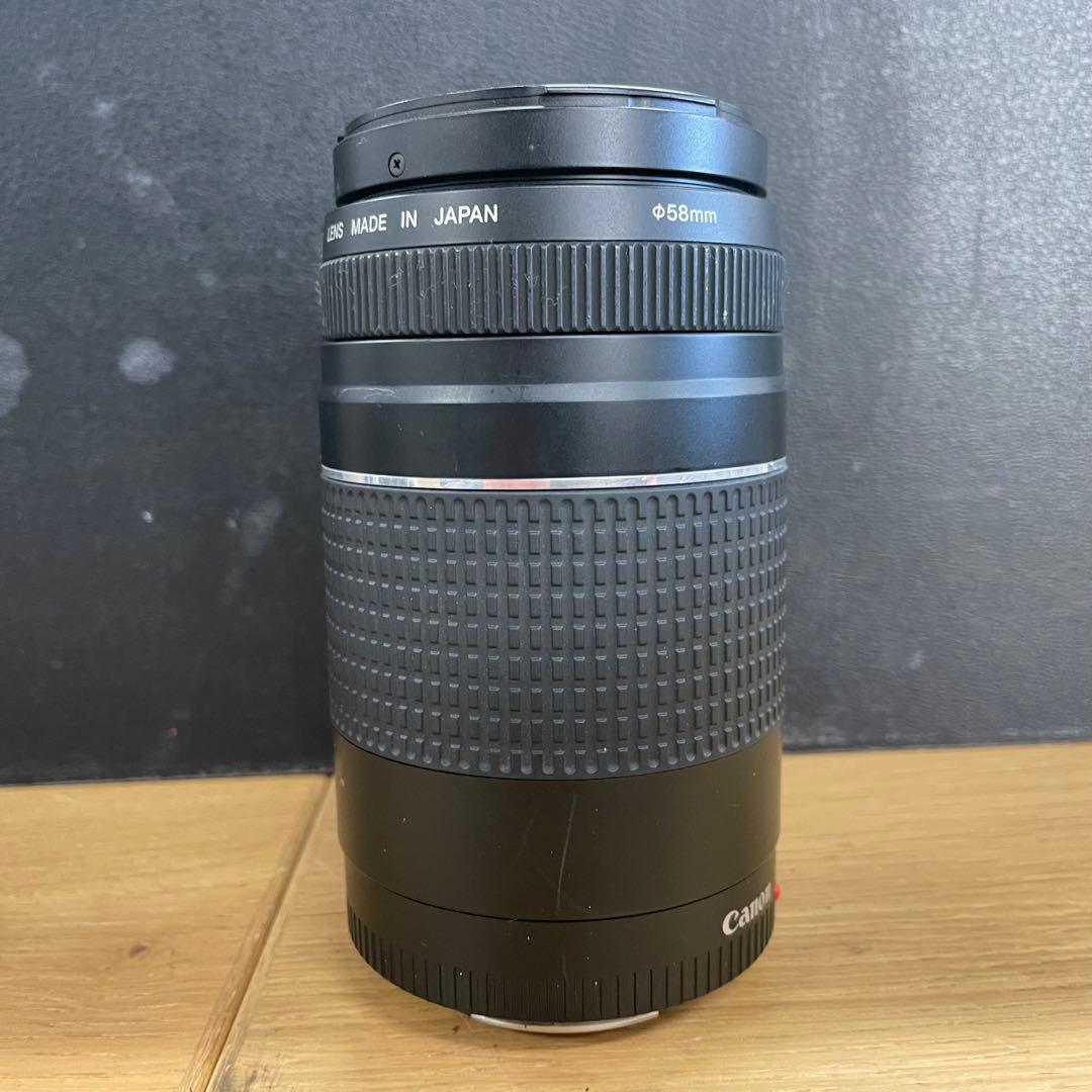 動作品 Canon EF 75-300mm F4-5.6 Ⅲ USM 望遠ズーム