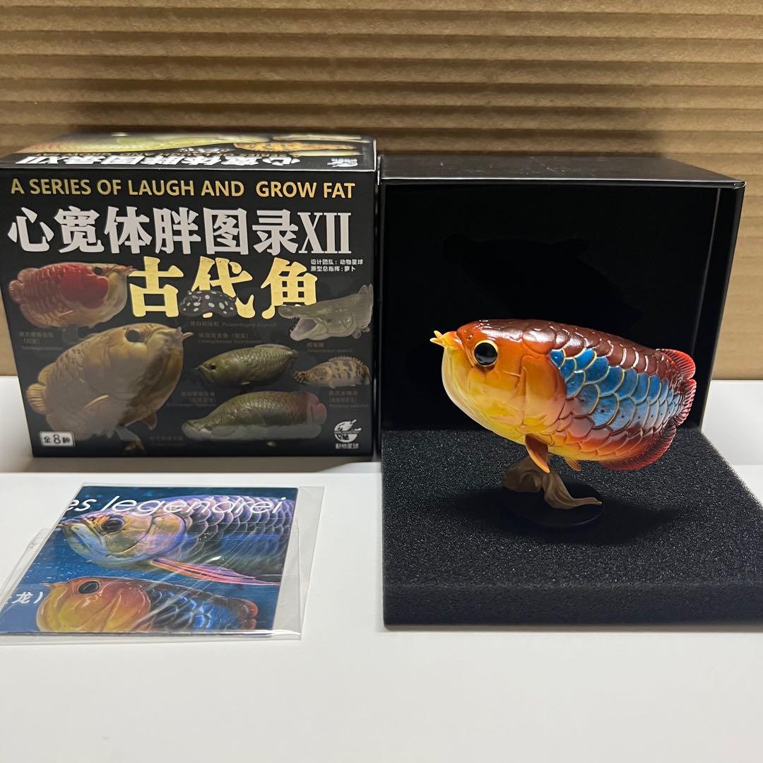 動物の惑星　レア　アジアアロワナ