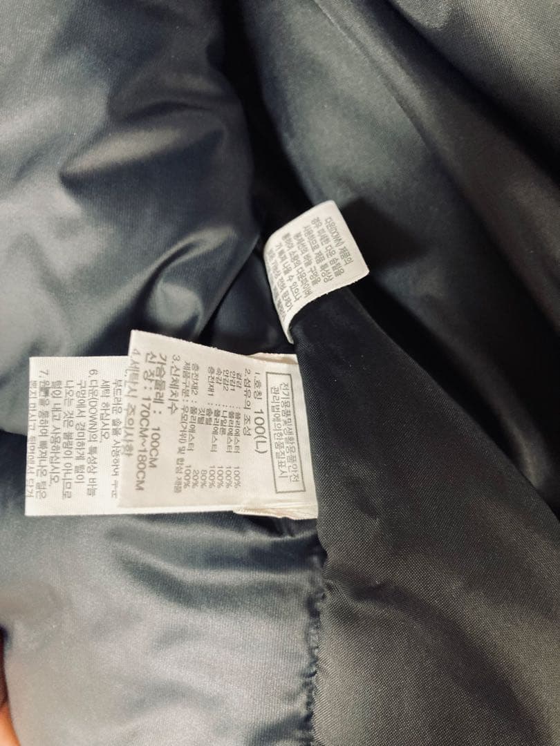 THE NORTH FACE ダウンジャケット L