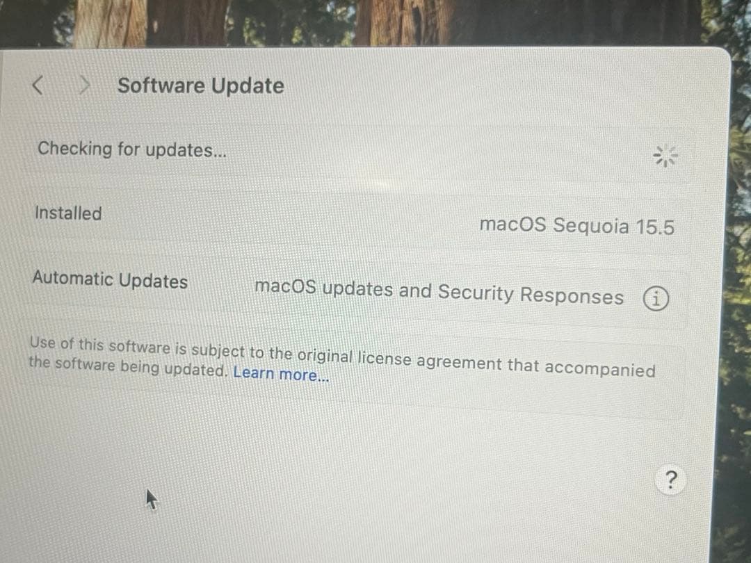 MacBook Airスペースグレイ M2/24GB/2TB SSD