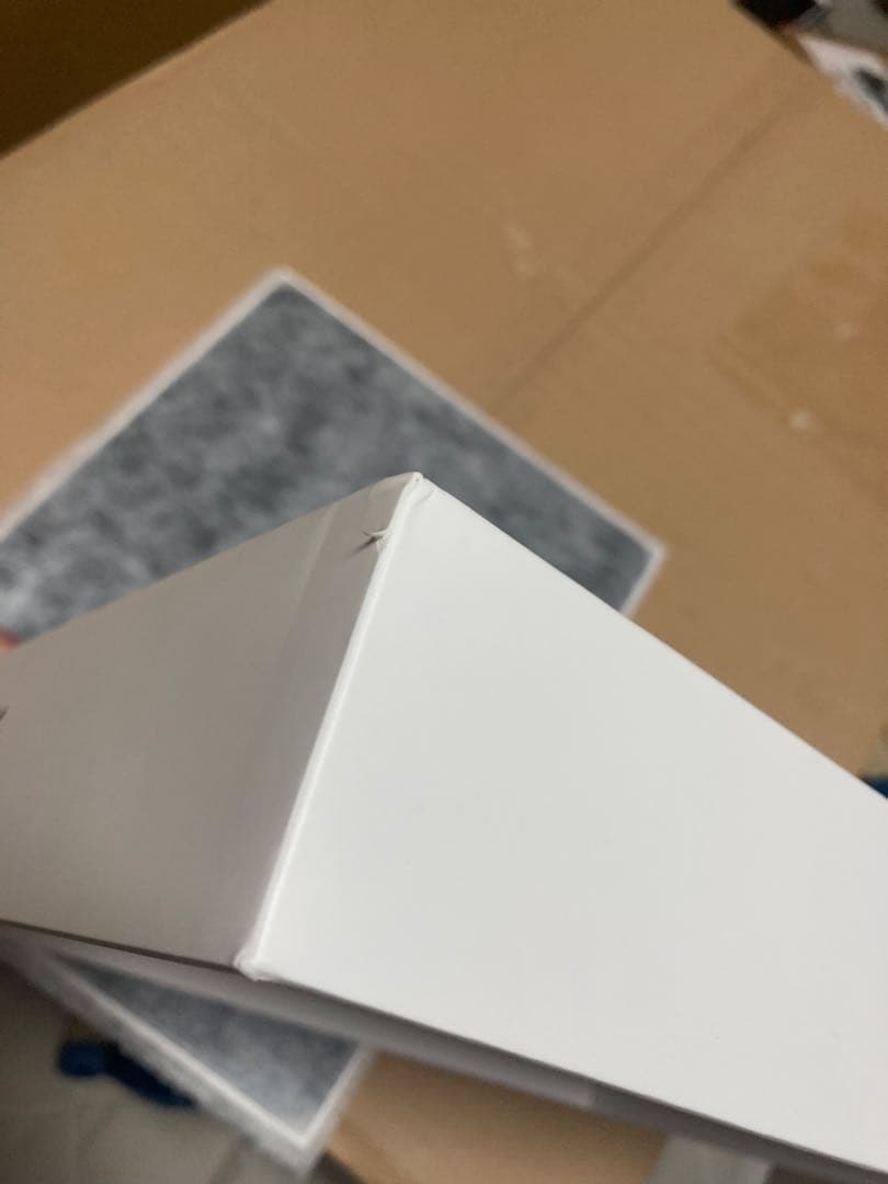 iPad Pro 12.9 (第5世代) M1 256GB SIMフリーモデル