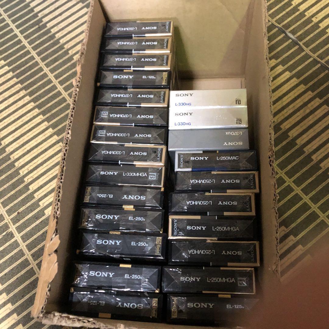 ペーターテープ　24本