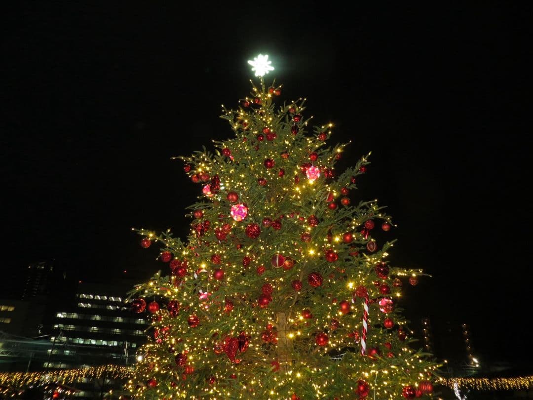 デジタルカメラ Canon PowerShot SX260 HS PC1742