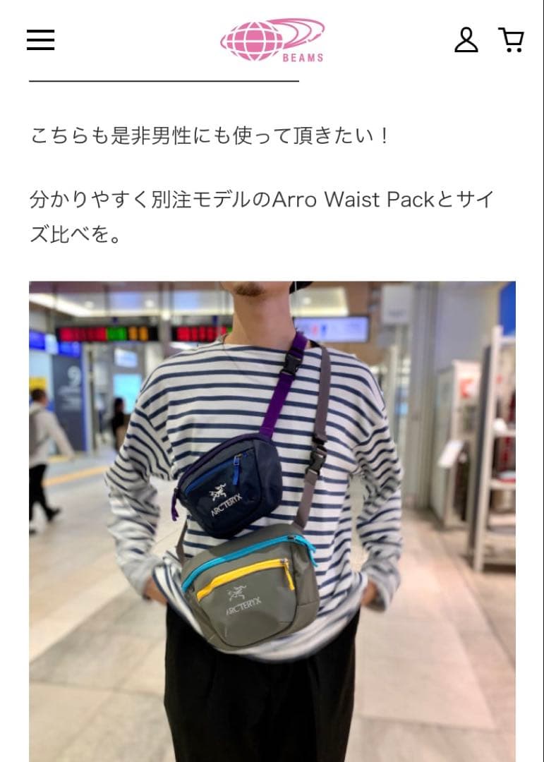 ARC'TERYX ボディバッグ 黒/紫