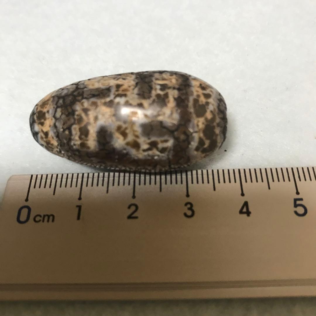 超激レア珍品‼︎ 古代老礦石　龍紋　たまご型卍一眼天珠　マニア向けフジヤマ