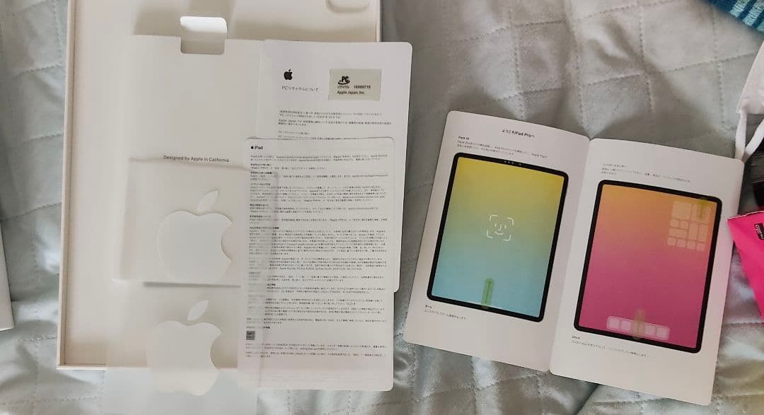 iPad Pro 12.9インチ (第5世代) 256GB Wi-Fi