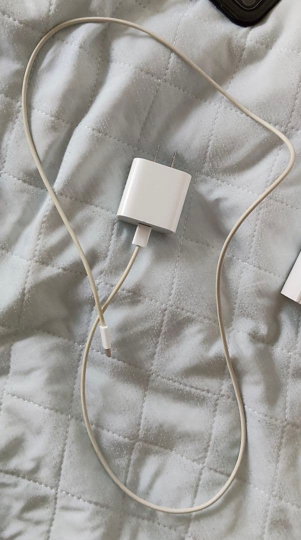 iPad Pro 12.9インチ (第5世代) 256GB Wi-Fi