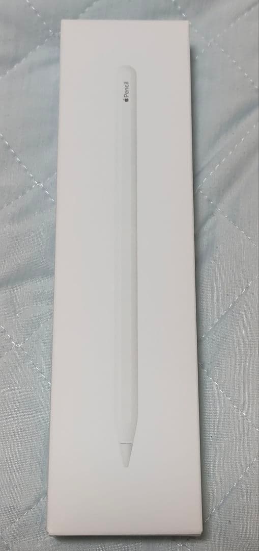 iPad Pro 12.9インチ (第5世代) 256GB Wi-Fi