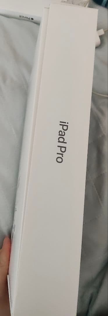 iPad Pro 12.9インチ (第5世代) 256GB Wi-Fi