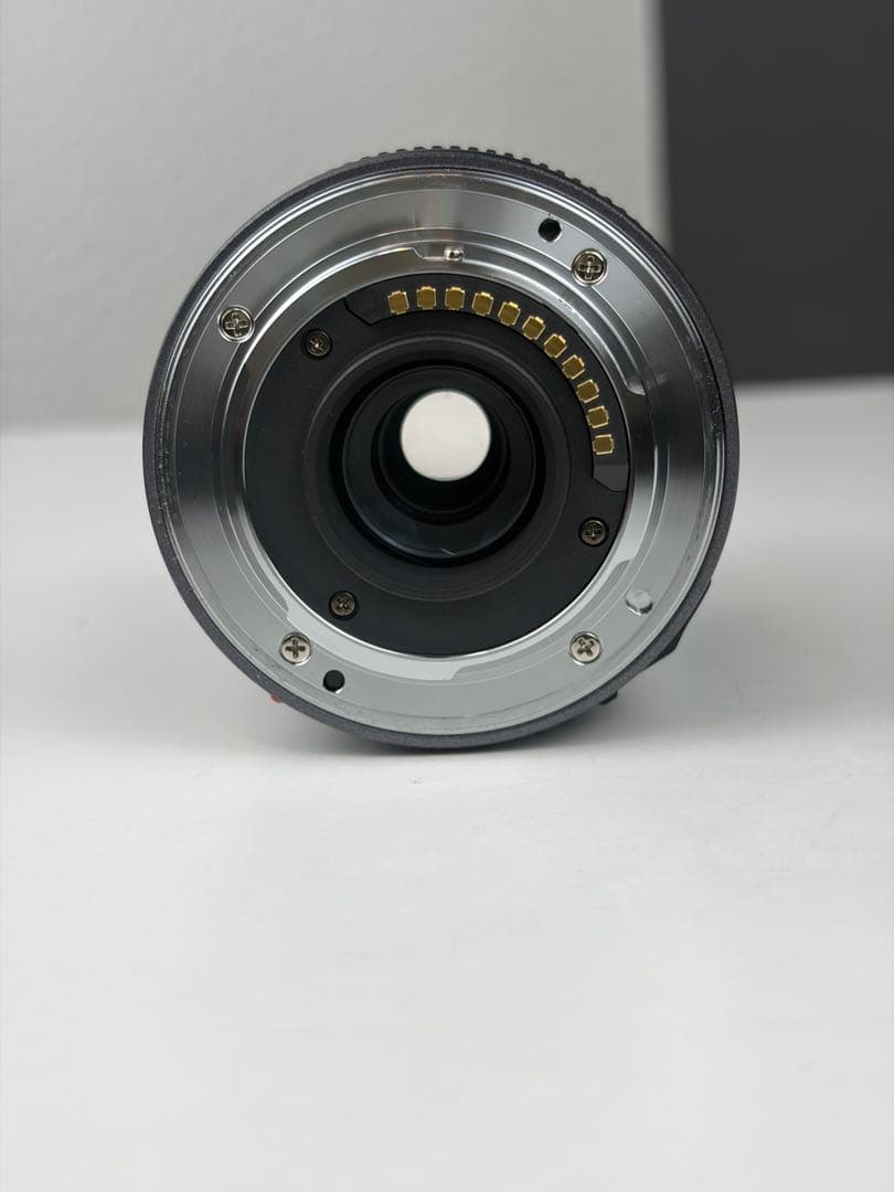 Panasonic DMC-GF2 レンズ 14-45