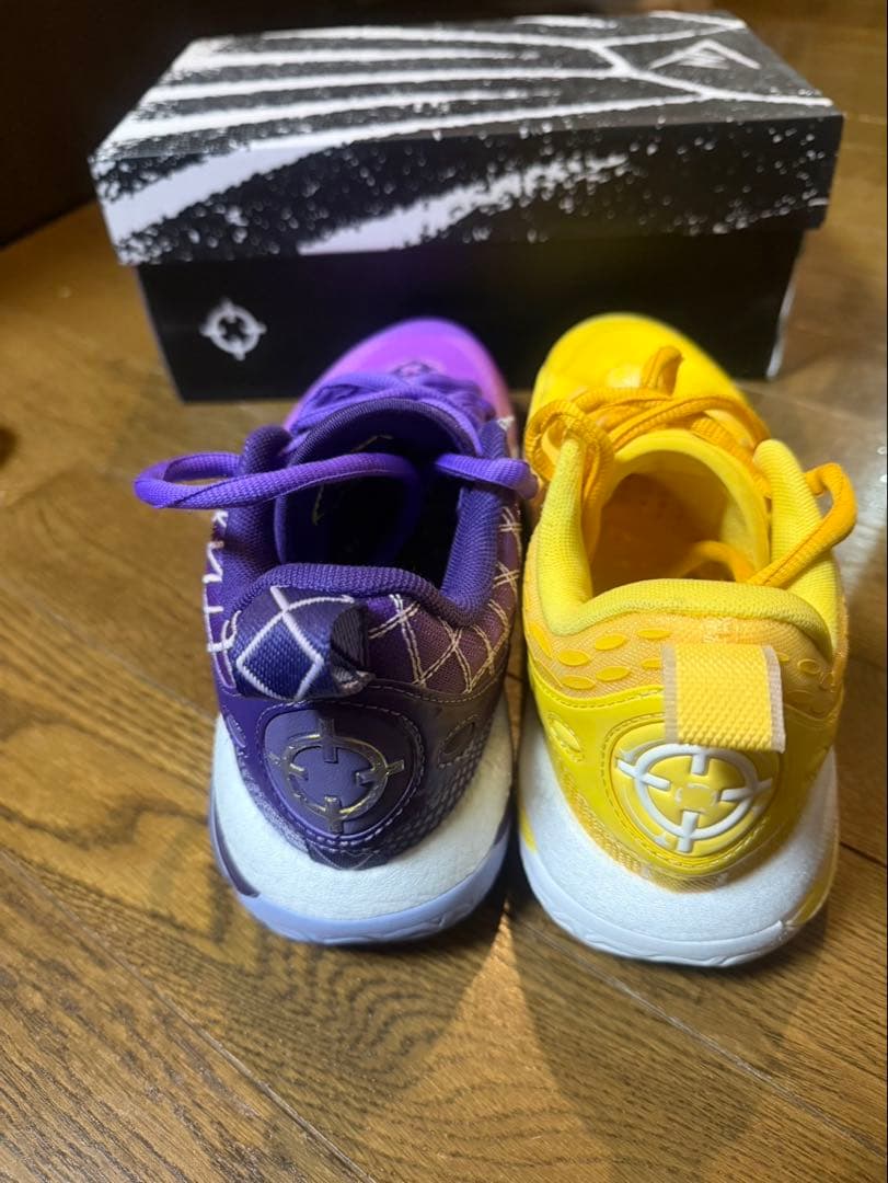 リゴラー AR2 バスケット　 ショータイム＆サンライズ ミックス 紫、黄色