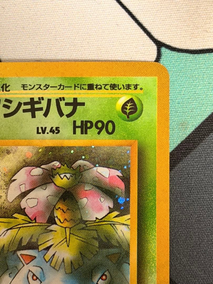 し*げ様 エリカのフシギバナ ★ ジム拡張第2弾 闇からの挑戦